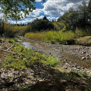 Meet your Posher, Adriana